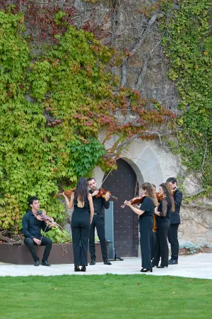 L'Orchestre de Chambre Euroccitanie